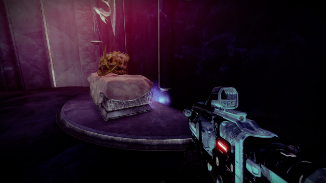 The Destiny 2 Starcat in the Harbinger's Seclude